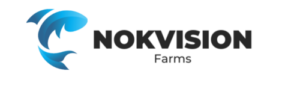 NOKVISION